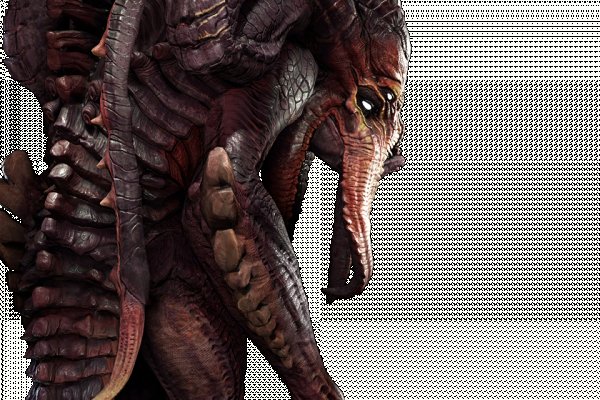Solaris darkmarket
