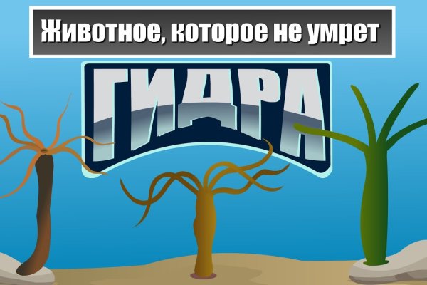 Кракен что это магазин