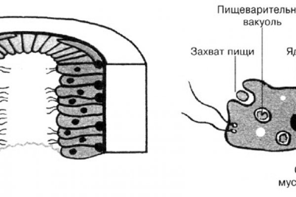 Kraken официальная ссылка tor